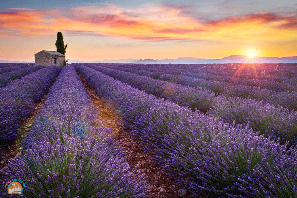 Türkiye'nin En Güzel Tatil Yerleri - Türkiye'nin En İyi Tatil Yerleri