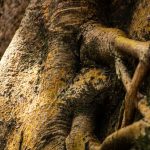 Bartin-Gezilecek-Yerler-–-En-Guzel-Dogal-ve-Tarihi-Noktalar-150x150 Karadeniz'de Gezilecek Yerler