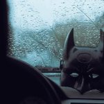 Batmana-Ne-Zaman-Gidilir-En-Uygun-Mevsim-ve-Aylar-150x150 Doğu-Güneydoğu’ya Ne Zaman Gidilir?