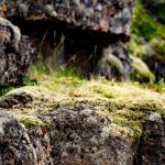 Bayburt-Gezilecek-Yerler-–-En-Guzel-Dogal-ve-Tarihi-Noktalar-150x150 Karadeniz'de Gezilecek Yerler