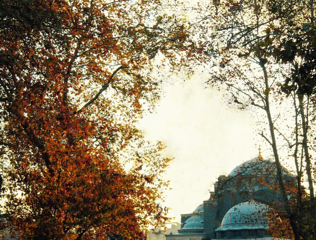 Kırşehir’e Ne Zaman Gidilir? En Uygun Mevsim ve Aylar!