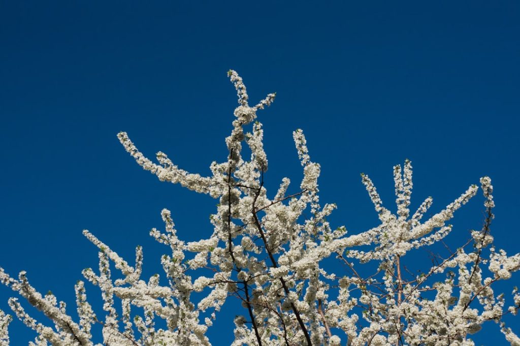 Adıyaman Besni’ye Ne Zaman Gidilir? En Uygun Mevsim ve Aylar!