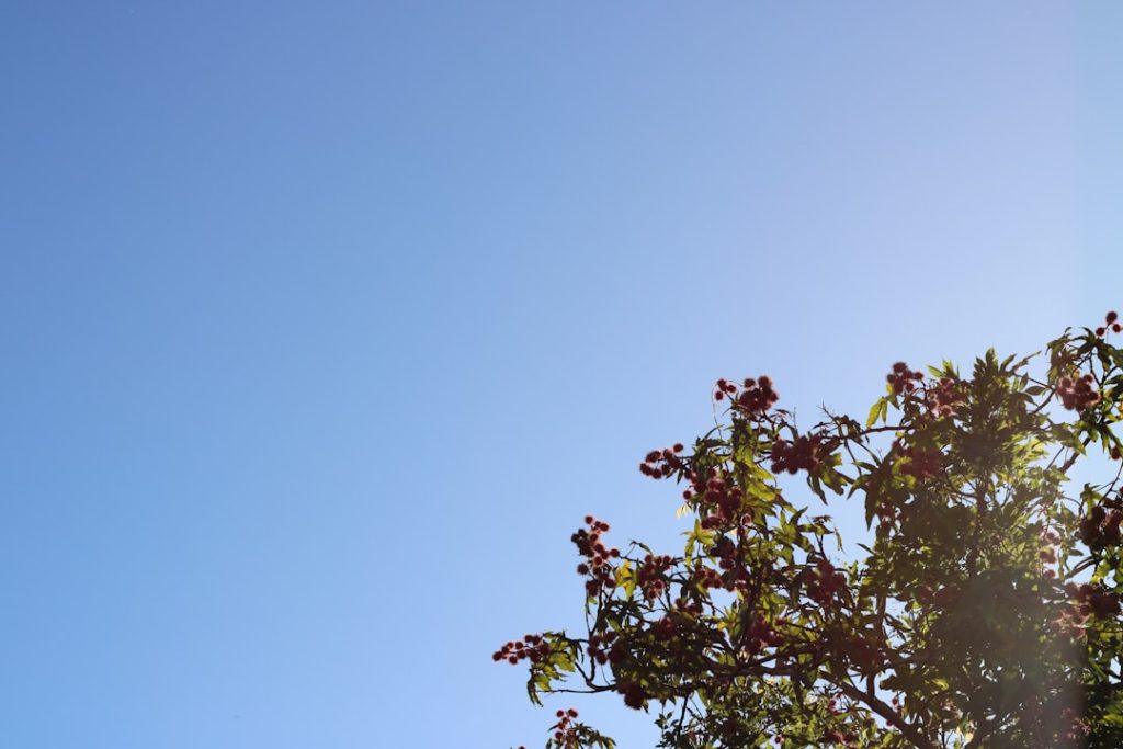 Adıyaman Çelikhan’a Ne Zaman Gidilir? En Uygun Mevsim ve Aylar!