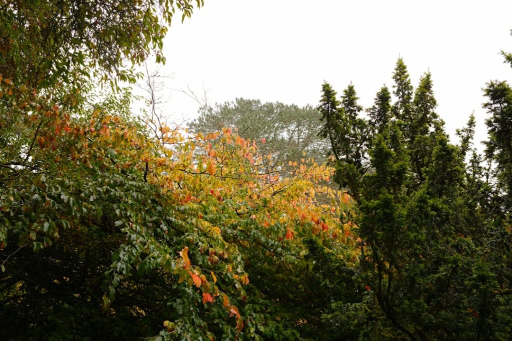 Adıyaman Kahta’ya Ne Zaman Gidilir? En Uygun Mevsim ve Aylar!