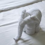 Agri-Patnos-En-Iyi-Otel-ve-Konaklama-Yerleri-150x150 Doğu-Güneydoğu’da Konaklanacak Yerler