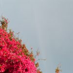 Agri-Patnosa-Ne-Zaman-Gidilir-En-Uygun-Mevsim-ve-Aylar-150x150 Doğu-Güneydoğu’ya Ne Zaman Gidilir?