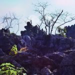 Agri-Tutak-Gezilecek-Yerler-–-En-Guzel-Dogal-ve-Tarihi-Noktalar-150x150 Doğu-Güneydoğu’da Gezilecek Yerler