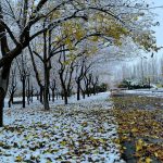 Agri-Tutaka-Ne-Zaman-Gidilir-En-Uygun-Mevsim-ve-Aylar-150x150 Doğu-Güneydoğu’ya Ne Zaman Gidilir?