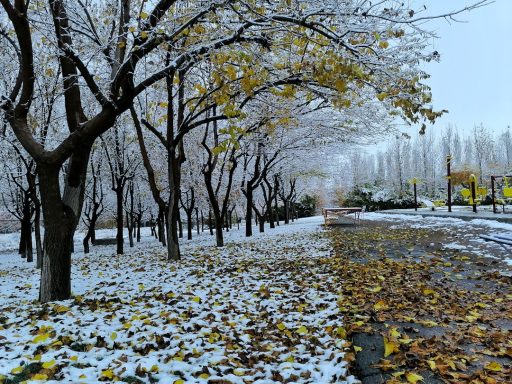 Agri-Tutaka-Ne-Zaman-Gidilir-En-Uygun-Mevsim-ve-Aylar-scaled Doğu-Güneydoğu Bileti