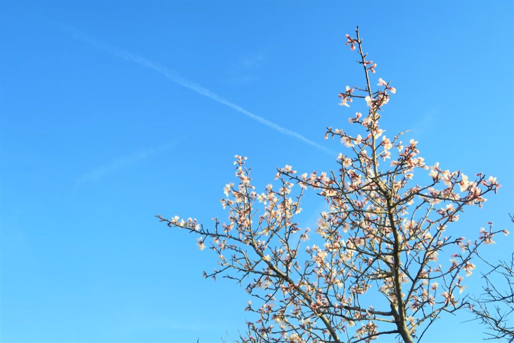 Ankara Altındağ’a Ne Zaman Gidilir? En Uygun Mevsim ve Aylar!