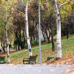 Ankara-Mamaka-Ne-Zaman-Gidilir-En-Uygun-Mevsim-ve-Aylar-150x150 Gezi Biletim | Sınırsız Keşifler, Sınırsız Heyecan!