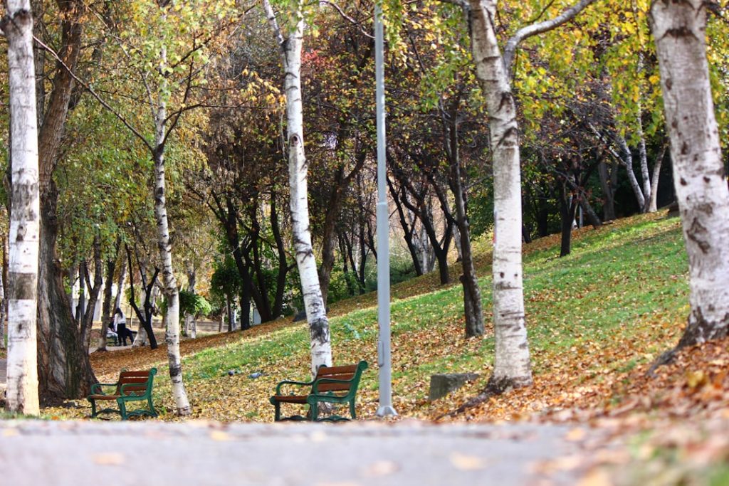 Ankara Pursaklar’a Ne Zaman Gidilir? En Uygun Mevsim ve Aylar!