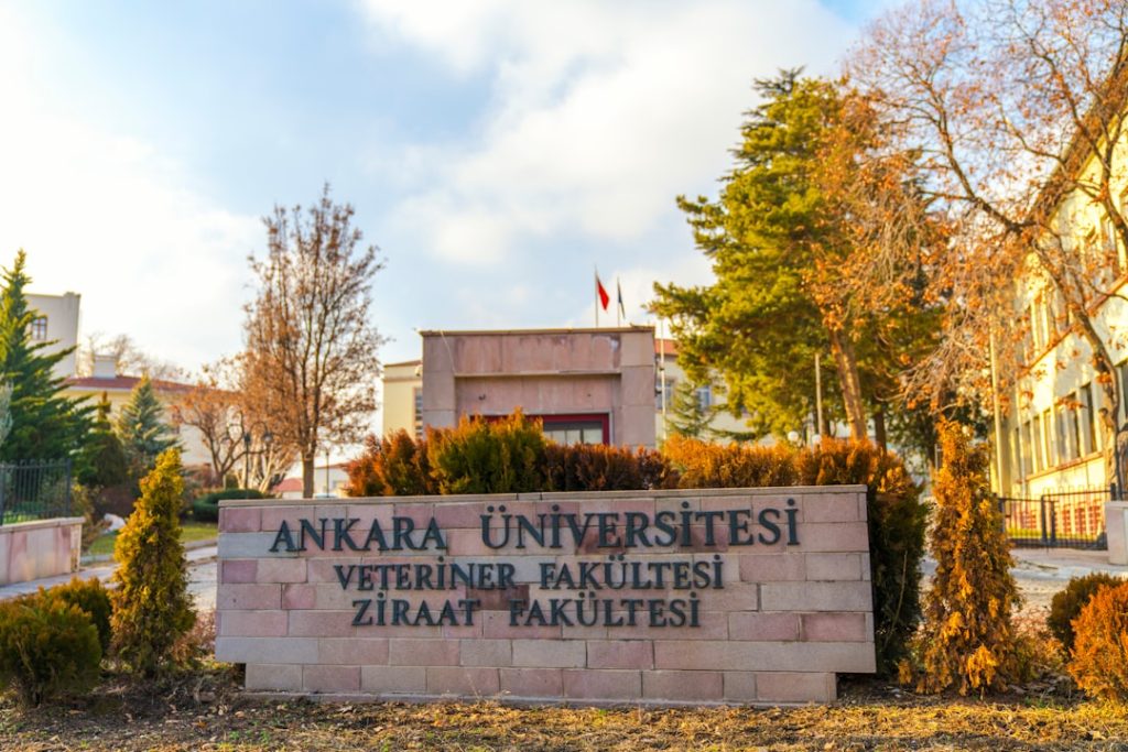 Ankara Şereflikoçhisar’da Ne Yapılır? Yapılacak En Güzel 10 Aktivite!