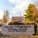 Ankara-Sereflikochisarda-Ne-Yapilir-Yapilacak-En-Guzel-10-Aktivite-150x150 Gezi Biletim | Sınırsız Keşifler, Sınırsız Heyecan!