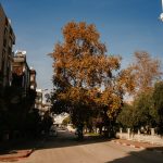 Antalya-Gazipasaya-Ne-Zaman-Gidilir-En-Uygun-Mevsim-ve-Aylar-150x150 Gezi Biletim | Sınırsız Keşifler, Sınırsız Heyecan!