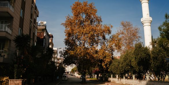 Antalya-Gundogmusa-Ne-Zaman-Gidilir-En-Uygun-Mevsim-ve-Aylar-585x295 Gezi Biletim | Sınırsız Keşifler, Sınırsız Heyecan!