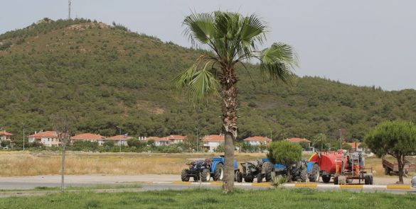 Balikesir-Ayvalika-Ne-Zaman-Gidilir-En-Uygun-Mevsim-ve-Aylar-585x295 Gezi Biletim | Sınırsız Keşifler, Sınırsız Heyecan!