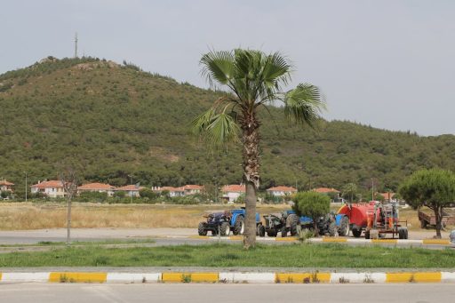 Balikesir-Ayvalika-Ne-Zaman-Gidilir-En-Uygun-Mevsim-ve-Aylar-scaled Gezi Biletim | Sınırsız Keşifler, Sınırsız Heyecan!