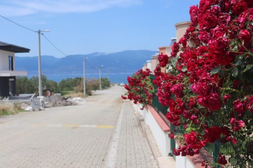 Balikesir-Burhaniye-Gezilecek-Yerler-–-En-Guzel-Dogal-ve-Tarihi-Noktalar-scaled Gezi Biletim | Sınırsız Keşifler, Sınırsız Heyecan!