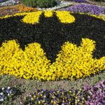 Batman-Gercus-Gezilecek-Yerler-–-En-Guzel-Dogal-ve-Tarihi-Noktalar-150x150 Gezi Biletim | Sınırsız Keşifler, Sınırsız Heyecan!